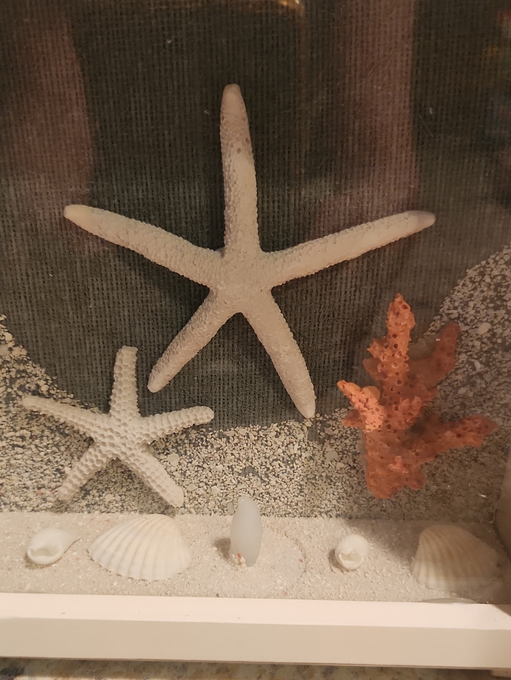 Coastal LED Light Up Seashell Shadow Boxes Set Of 3 - Picture 8 of 10
